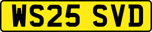 WS25SVD