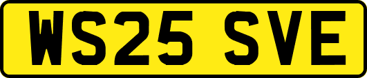WS25SVE