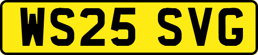 WS25SVG