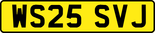 WS25SVJ