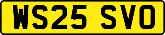 WS25SVO