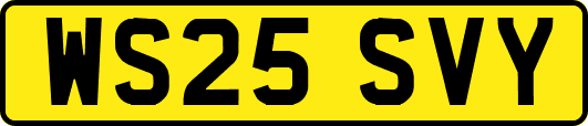 WS25SVY