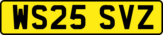 WS25SVZ