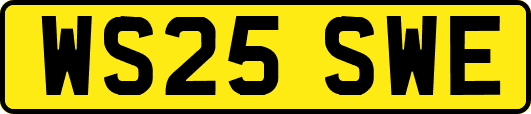 WS25SWE