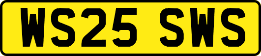 WS25SWS