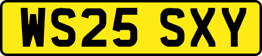 WS25SXY