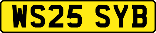 WS25SYB