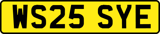 WS25SYE