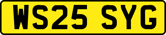 WS25SYG