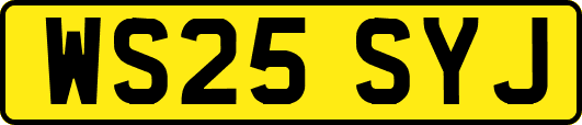 WS25SYJ