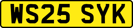 WS25SYK