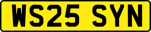 WS25SYN