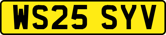 WS25SYV