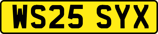 WS25SYX