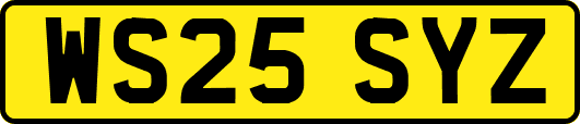 WS25SYZ