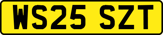 WS25SZT