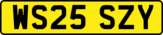 WS25SZY