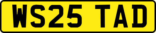 WS25TAD