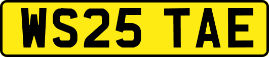 WS25TAE