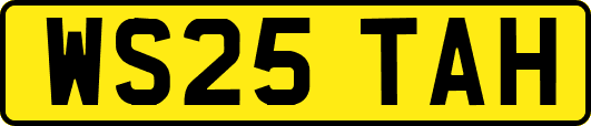 WS25TAH