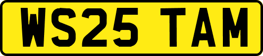WS25TAM