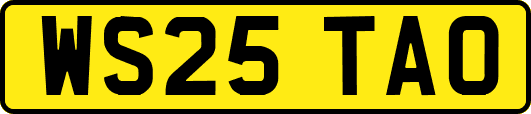WS25TAO