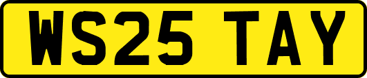 WS25TAY
