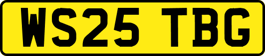 WS25TBG