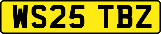 WS25TBZ