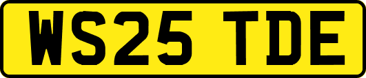 WS25TDE