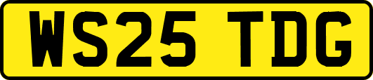 WS25TDG