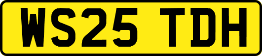 WS25TDH