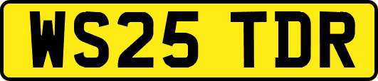 WS25TDR