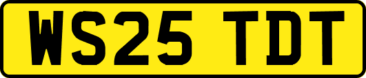 WS25TDT