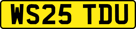 WS25TDU