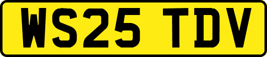 WS25TDV