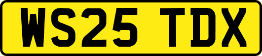 WS25TDX