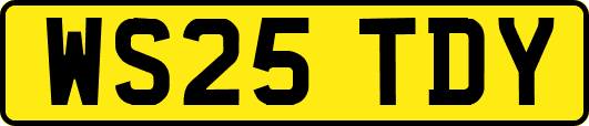 WS25TDY