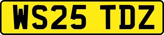 WS25TDZ