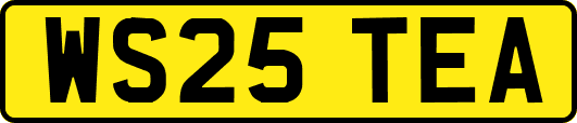 WS25TEA