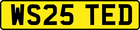 WS25TED
