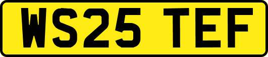 WS25TEF