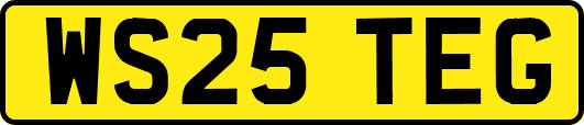 WS25TEG