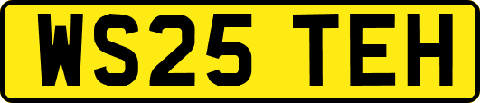 WS25TEH