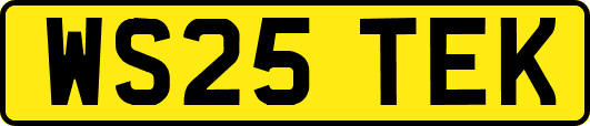 WS25TEK