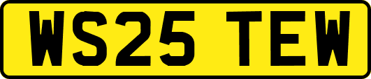 WS25TEW