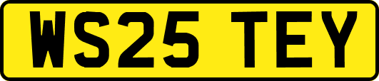 WS25TEY