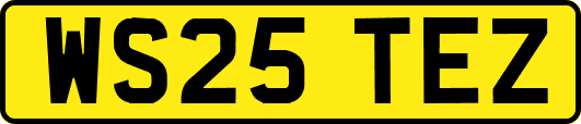 WS25TEZ