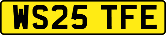 WS25TFE