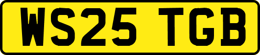 WS25TGB